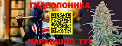 шишки Краснокаменск