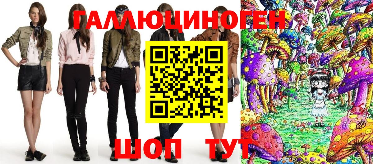 где купить наркотик  Вход с VPN  Дальнегорск  Галлюциногенные грибы Psilocybe 