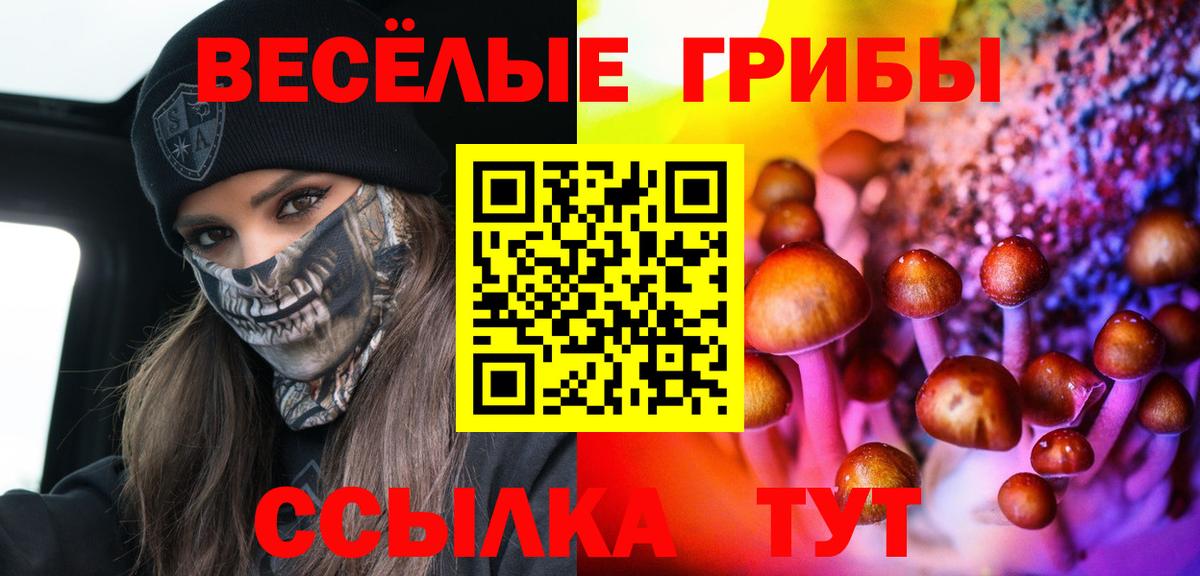 Галлюциногенные грибы GOLDEN TEACHER Дальнегорск
